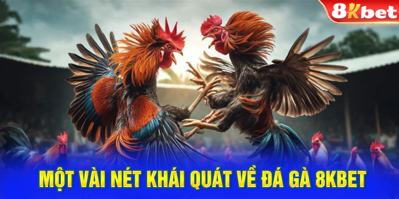 Một vài nét khái quát về đá gà 8KBET