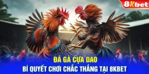 Đá Gà Cựa Dao - Bí Quyết Chơi Chắc Thắng Tại 8kbet